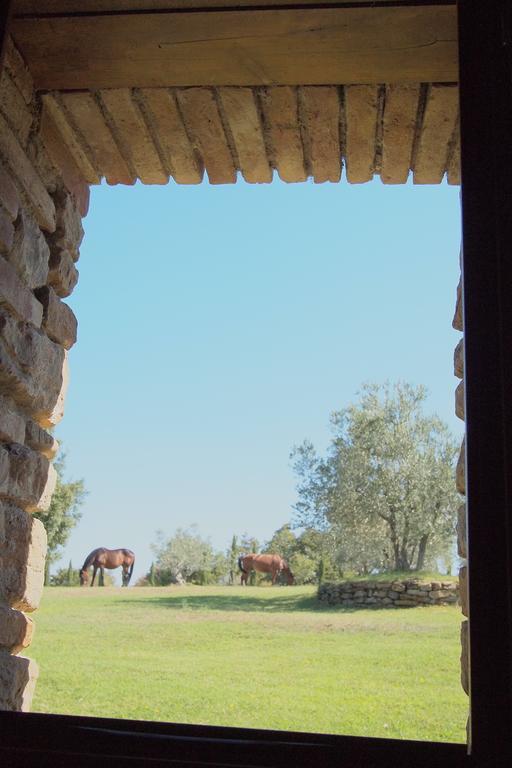 Podere Campovecchio Rapale Rom bilde
