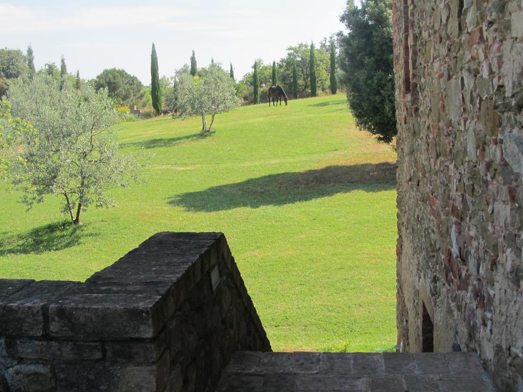 Podere Campovecchio Rapale Rom bilde