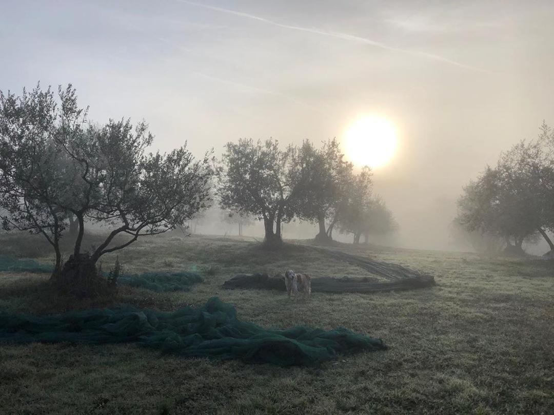 Podere Campovecchio Rapale Eksteriør bilde