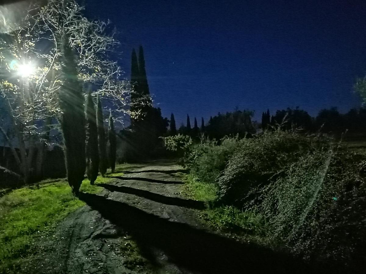 Podere Campovecchio Rapale Eksteriør bilde